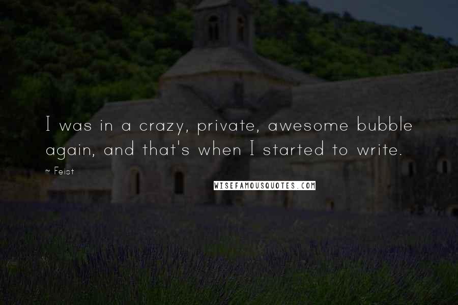 Feist Quotes: I was in a crazy, private, awesome bubble again, and that's when I started to write.