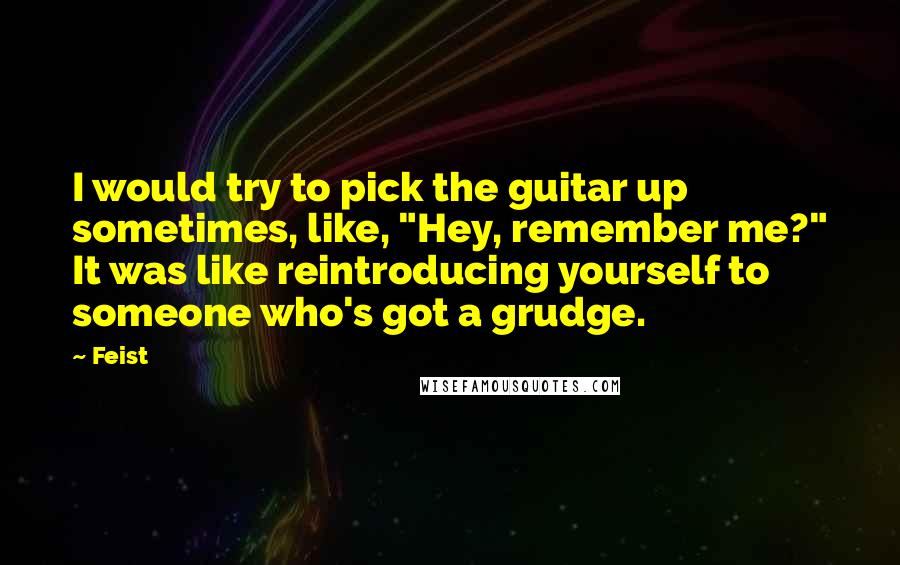 Feist Quotes: I would try to pick the guitar up sometimes, like, "Hey, remember me?" It was like reintroducing yourself to someone who's got a grudge.