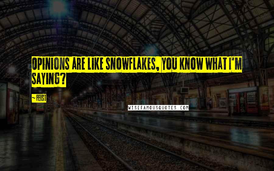 Feist Quotes: Opinions are like snowflakes, you know what I'm saying?