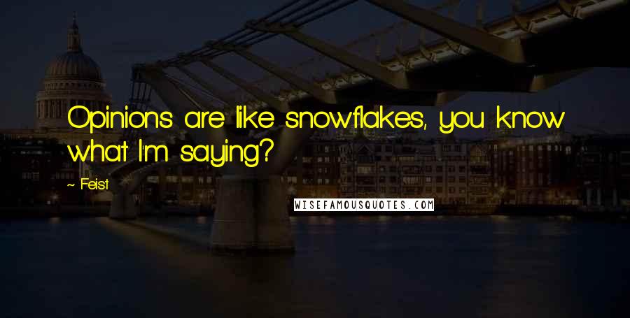 Feist Quotes: Opinions are like snowflakes, you know what I'm saying?