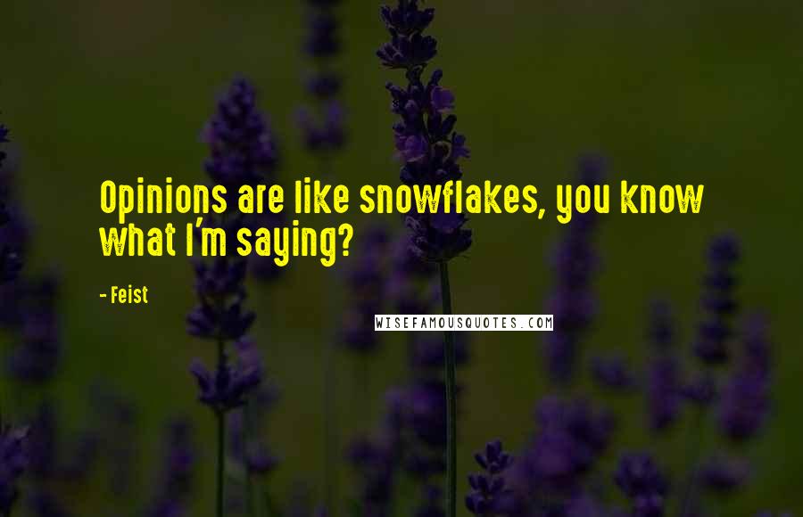 Feist Quotes: Opinions are like snowflakes, you know what I'm saying?
