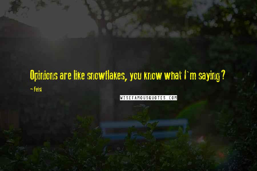 Feist Quotes: Opinions are like snowflakes, you know what I'm saying?