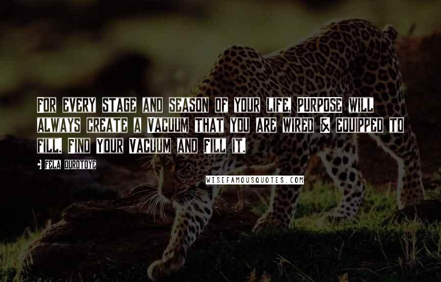 Fela Durotoye Quotes: For every stage and season of your life, PURPOSE will always create a Vacuum that you are wired & equipped to fill. Find Your Vacuum and Fill it.