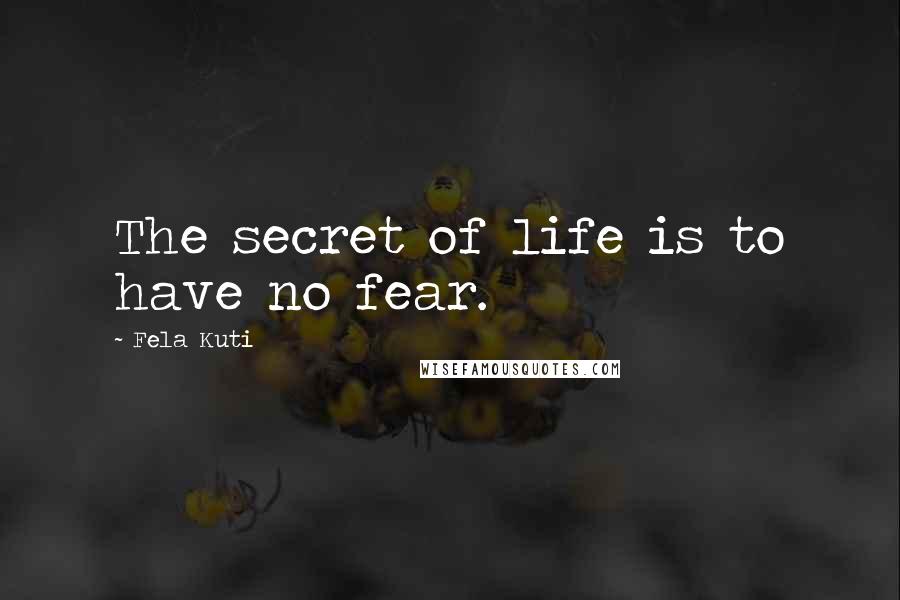 Fela Kuti Quotes: The secret of life is to have no fear.