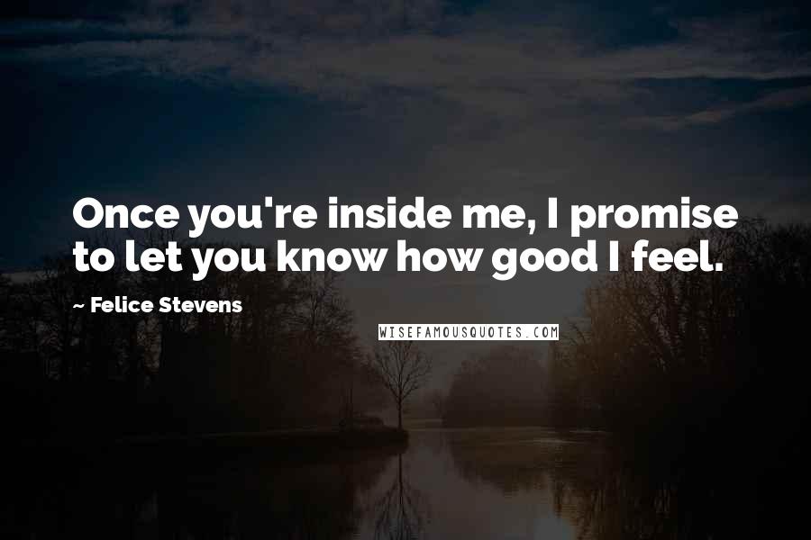 Felice Stevens Quotes: Once you're inside me, I promise to let you know how good I feel.