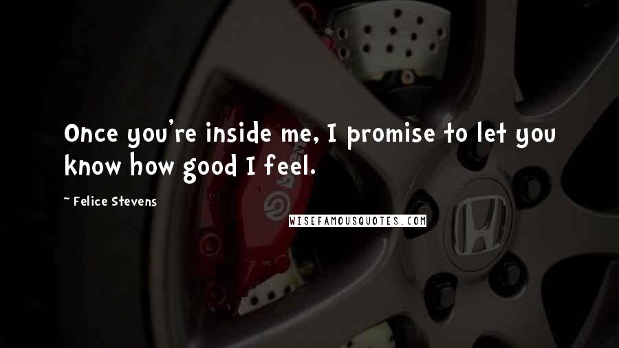 Felice Stevens Quotes: Once you're inside me, I promise to let you know how good I feel.