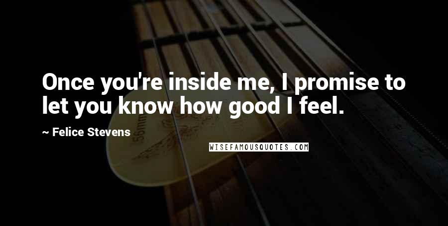 Felice Stevens Quotes: Once you're inside me, I promise to let you know how good I feel.