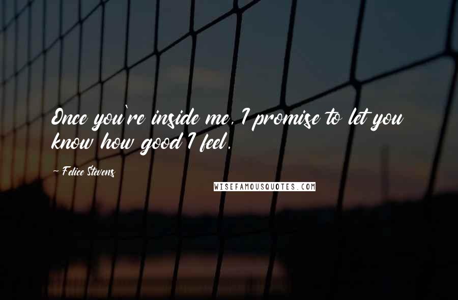 Felice Stevens Quotes: Once you're inside me, I promise to let you know how good I feel.