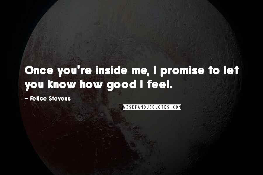 Felice Stevens Quotes: Once you're inside me, I promise to let you know how good I feel.