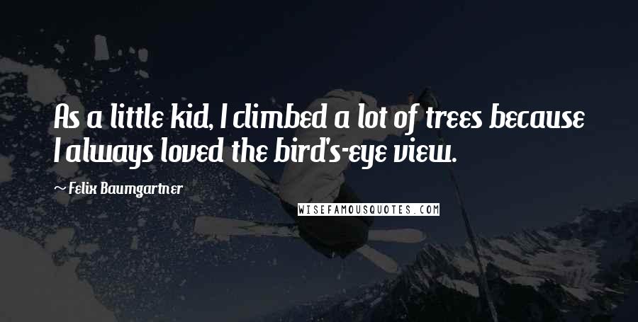 Felix Baumgartner Quotes: As a little kid, I climbed a lot of trees because I always loved the bird's-eye view.