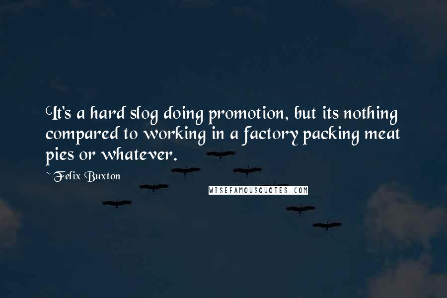 Felix Buxton Quotes: It's a hard slog doing promotion, but its nothing compared to working in a factory packing meat pies or whatever.