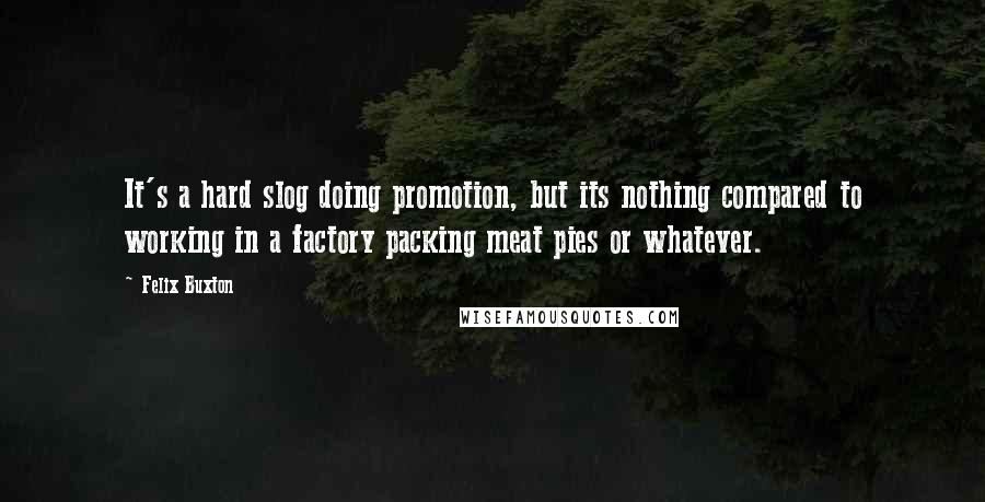 Felix Buxton Quotes: It's a hard slog doing promotion, but its nothing compared to working in a factory packing meat pies or whatever.