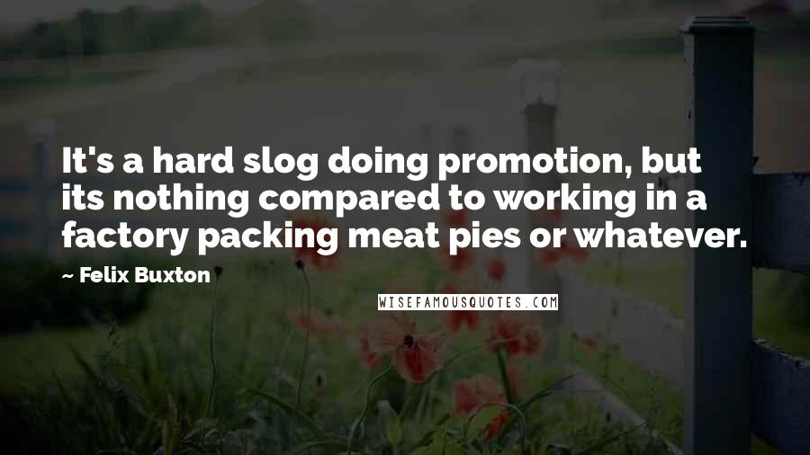 Felix Buxton Quotes: It's a hard slog doing promotion, but its nothing compared to working in a factory packing meat pies or whatever.