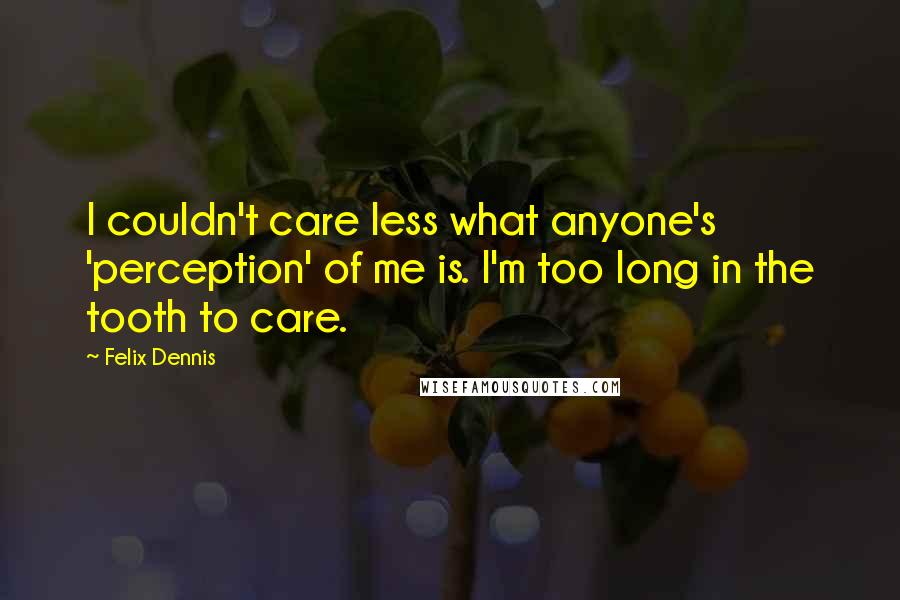 Felix Dennis Quotes: I couldn't care less what anyone's 'perception' of me is. I'm too long in the tooth to care.