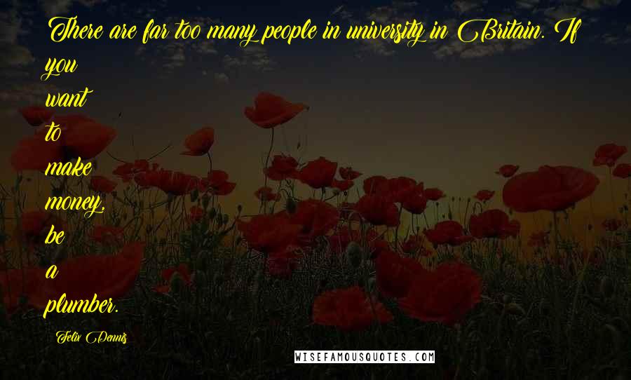 Felix Dennis Quotes: There are far too many people in university in Britain. If you want to make money, be a plumber.