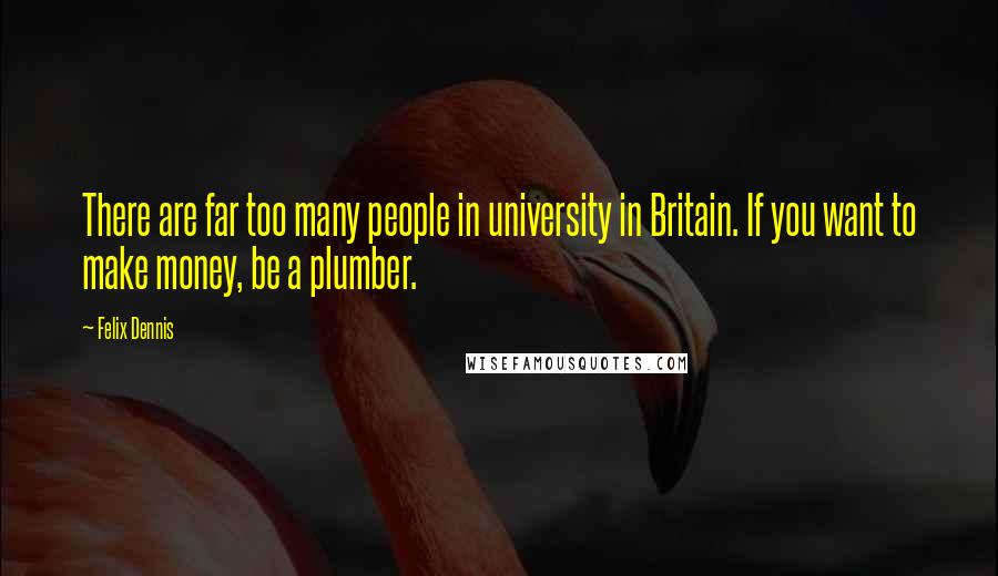 Felix Dennis Quotes: There are far too many people in university in Britain. If you want to make money, be a plumber.