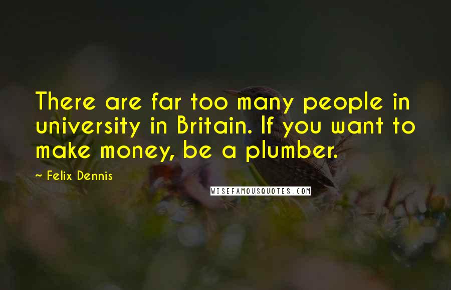 Felix Dennis Quotes: There are far too many people in university in Britain. If you want to make money, be a plumber.