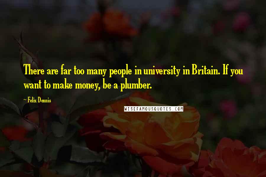 Felix Dennis Quotes: There are far too many people in university in Britain. If you want to make money, be a plumber.