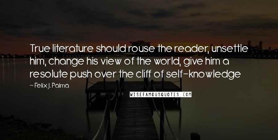 Felix J. Palma Quotes: True literature should rouse the reader, unsettle him, change his view of the world, give him a resolute push over the cliff of self-knowledge