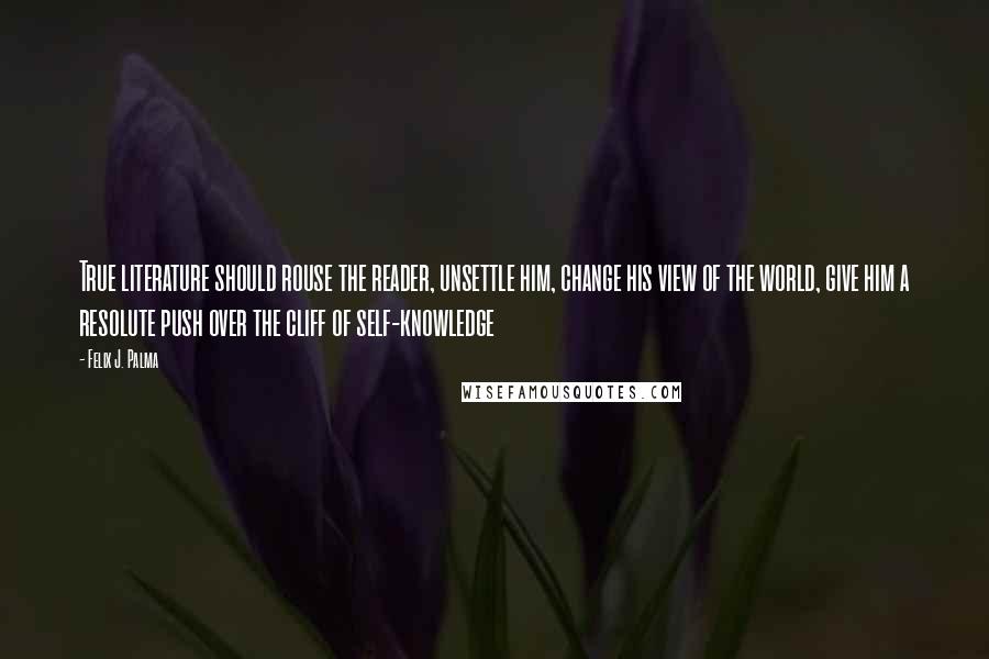 Felix J. Palma Quotes: True literature should rouse the reader, unsettle him, change his view of the world, give him a resolute push over the cliff of self-knowledge