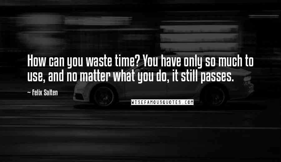 Felix Salten Quotes: How can you waste time? You have only so much to use, and no matter what you do, it still passes.