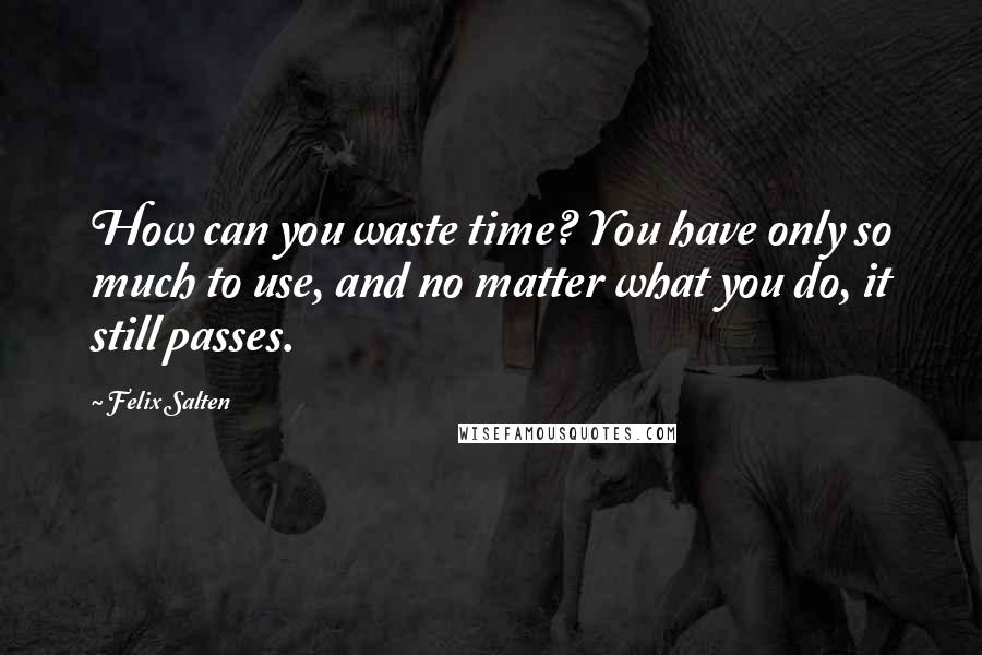 Felix Salten Quotes: How can you waste time? You have only so much to use, and no matter what you do, it still passes.