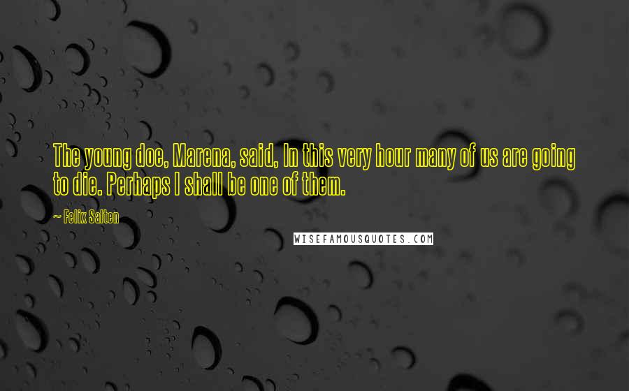 Felix Salten Quotes: The young doe, Marena, said, In this very hour many of us are going to die. Perhaps I shall be one of them.