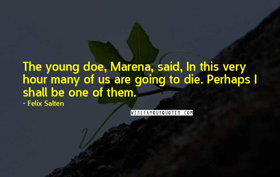 Felix Salten Quotes: The young doe, Marena, said, In this very hour many of us are going to die. Perhaps I shall be one of them.