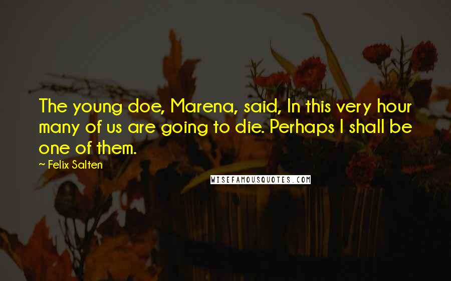 Felix Salten Quotes: The young doe, Marena, said, In this very hour many of us are going to die. Perhaps I shall be one of them.