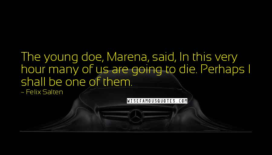 Felix Salten Quotes: The young doe, Marena, said, In this very hour many of us are going to die. Perhaps I shall be one of them.