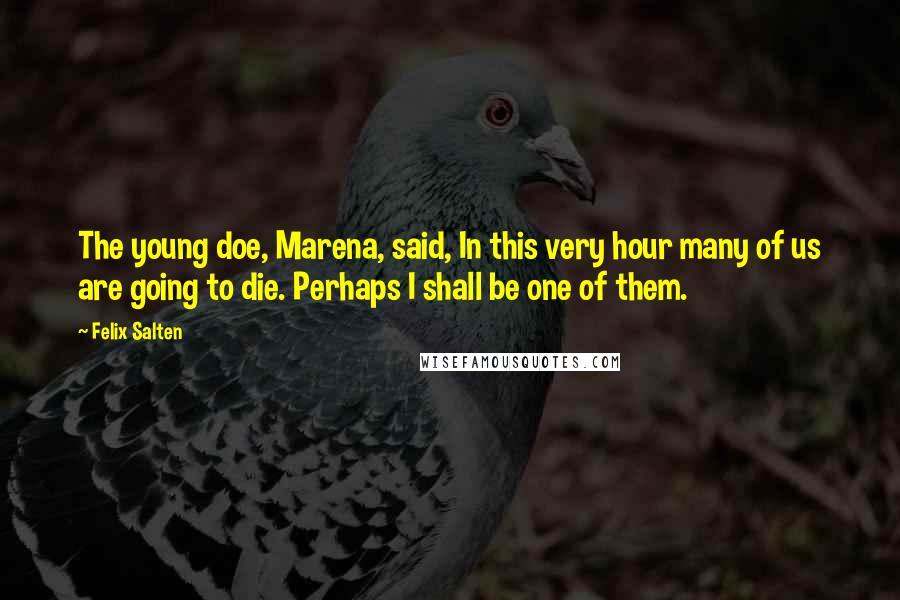 Felix Salten Quotes: The young doe, Marena, said, In this very hour many of us are going to die. Perhaps I shall be one of them.