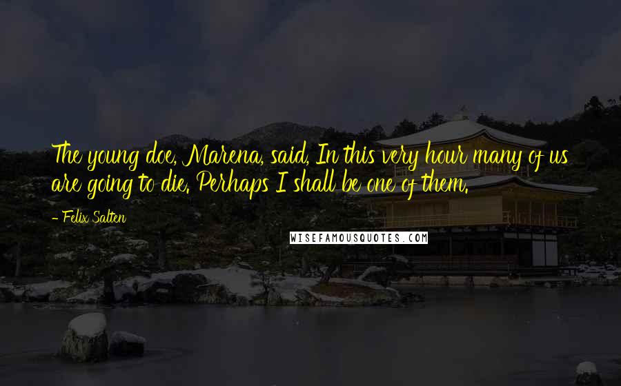 Felix Salten Quotes: The young doe, Marena, said, In this very hour many of us are going to die. Perhaps I shall be one of them.