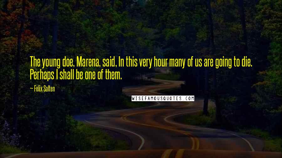 Felix Salten Quotes: The young doe, Marena, said, In this very hour many of us are going to die. Perhaps I shall be one of them.