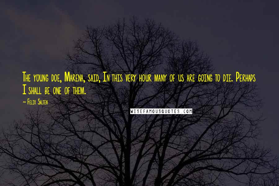 Felix Salten Quotes: The young doe, Marena, said, In this very hour many of us are going to die. Perhaps I shall be one of them.