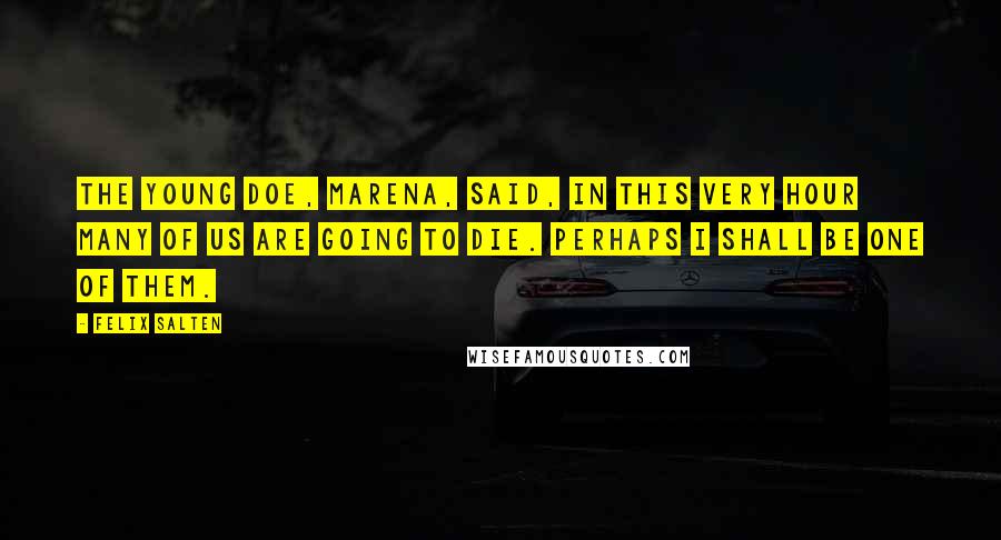 Felix Salten Quotes: The young doe, Marena, said, In this very hour many of us are going to die. Perhaps I shall be one of them.