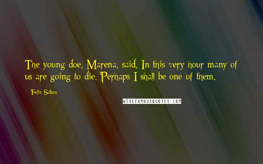 Felix Salten Quotes: The young doe, Marena, said, In this very hour many of us are going to die. Perhaps I shall be one of them.