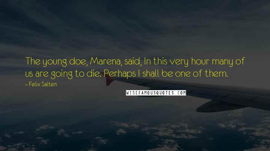 Felix Salten Quotes: The young doe, Marena, said, In this very hour many of us are going to die. Perhaps I shall be one of them.