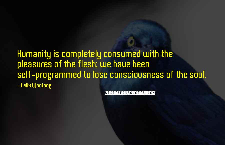 Felix Wantang Quotes: Humanity is completely consumed with the pleasures of the flesh; we have been self-programmed to lose consciousness of the soul.