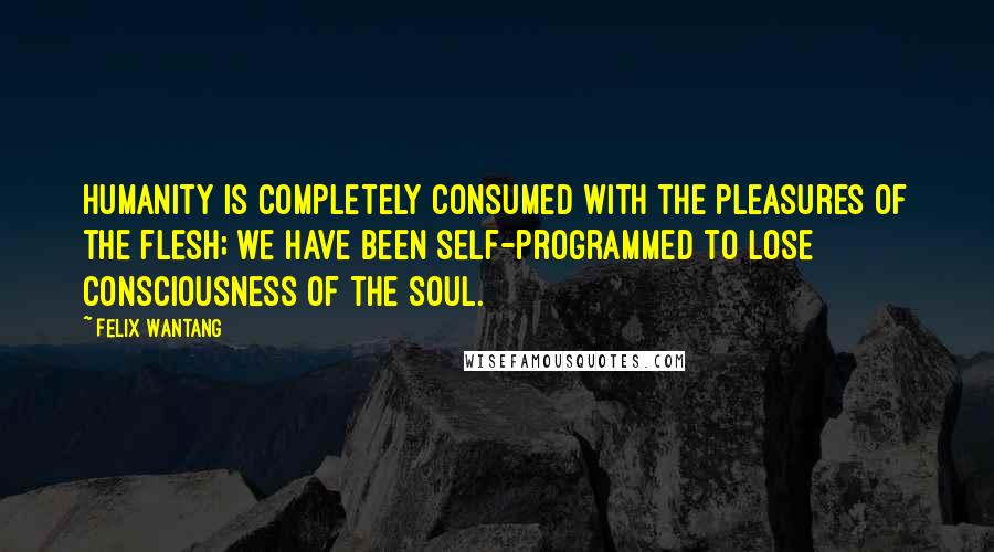 Felix Wantang Quotes: Humanity is completely consumed with the pleasures of the flesh; we have been self-programmed to lose consciousness of the soul.
