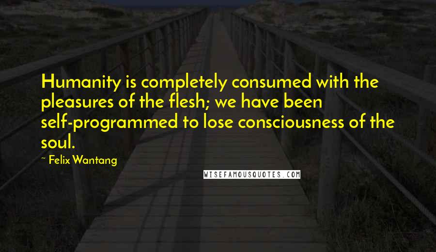 Felix Wantang Quotes: Humanity is completely consumed with the pleasures of the flesh; we have been self-programmed to lose consciousness of the soul.