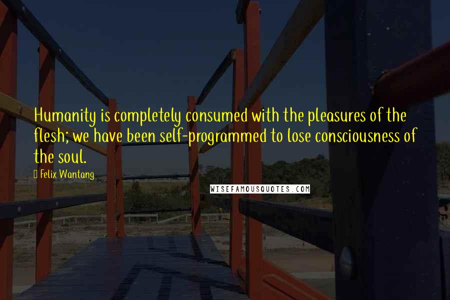 Felix Wantang Quotes: Humanity is completely consumed with the pleasures of the flesh; we have been self-programmed to lose consciousness of the soul.