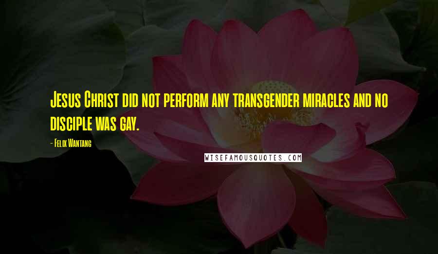 Felix Wantang Quotes: Jesus Christ did not perform any transgender miracles and no disciple was gay.