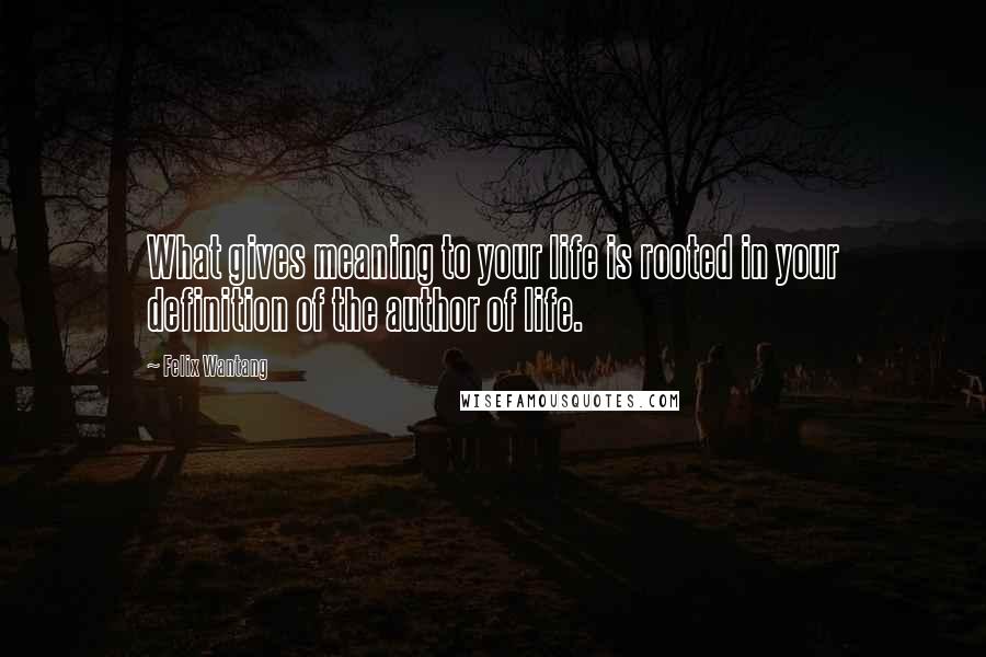 Felix Wantang Quotes: What gives meaning to your life is rooted in your definition of the author of life.