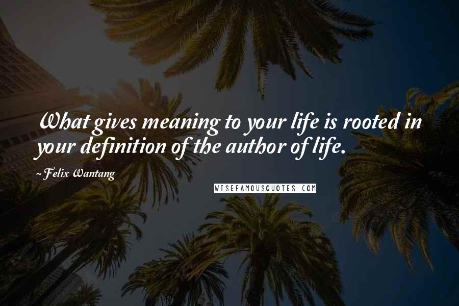 Felix Wantang Quotes: What gives meaning to your life is rooted in your definition of the author of life.