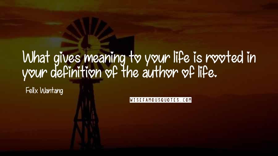 Felix Wantang Quotes: What gives meaning to your life is rooted in your definition of the author of life.