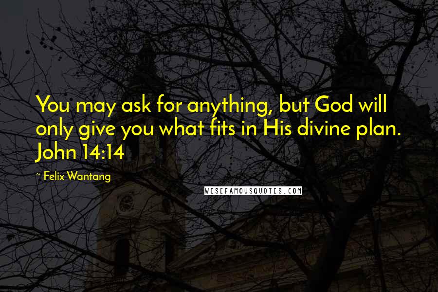 Felix Wantang Quotes: You may ask for anything, but God will only give you what fits in His divine plan. John 14:14