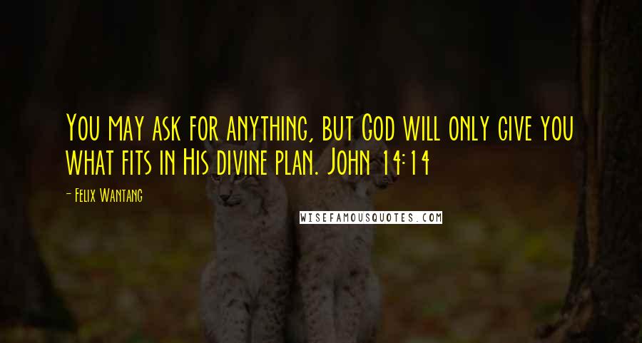 Felix Wantang Quotes: You may ask for anything, but God will only give you what fits in His divine plan. John 14:14