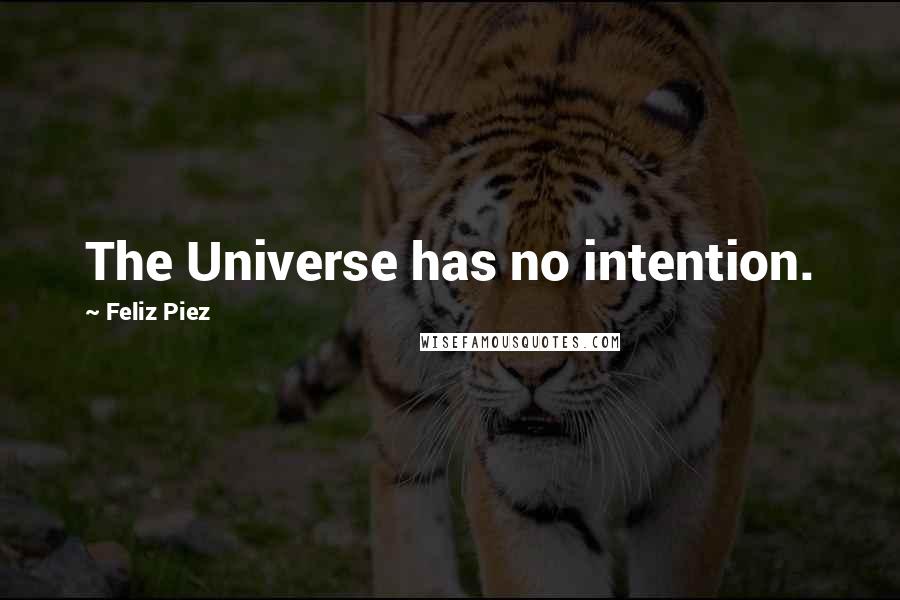 Feliz Piez Quotes: The Universe has no intention.