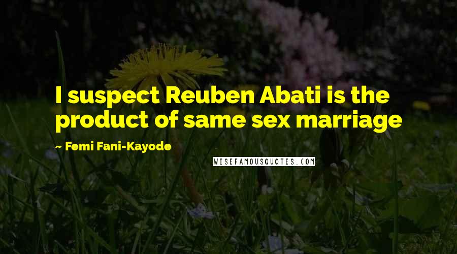 Femi Fani-Kayode Quotes: I suspect Reuben Abati is the product of same sex marriage