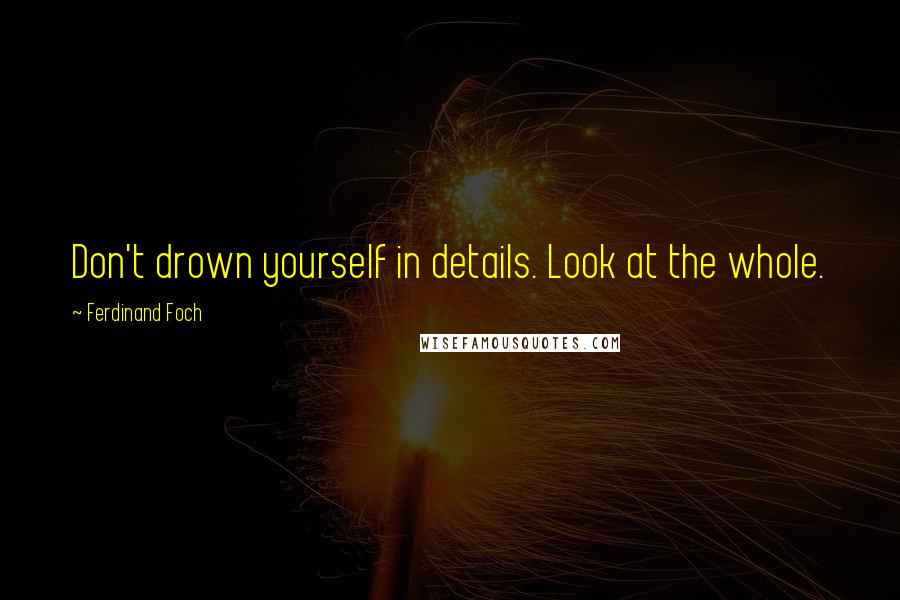 Ferdinand Foch Quotes: Don't drown yourself in details. Look at the whole.